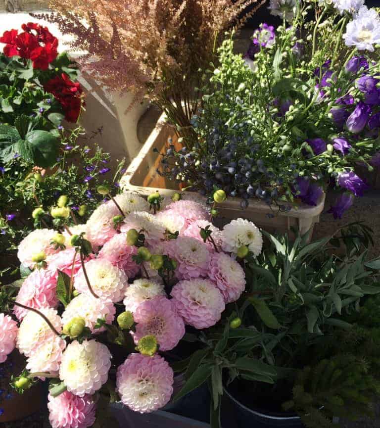 img_4768-768x865