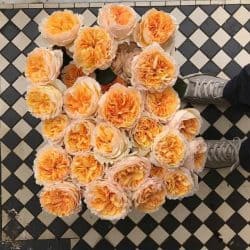 Flower Crown Workshops in Brighton & South East