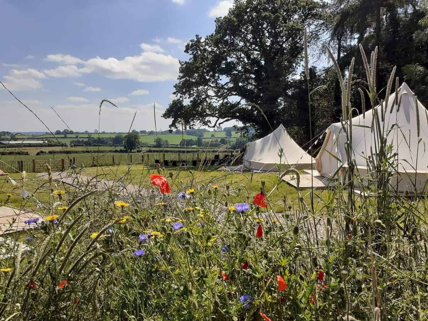 Hen Party Glamping In West Midlands