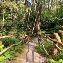 Woodland Glamping York | The Dreamery Hideaway