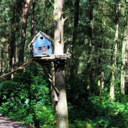 Woodland Glamping York | The Dreamery Hideaway