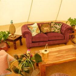 Hen Party Glamping Near The New Forest