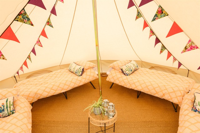 Hen Party Glamping Near The New Forest