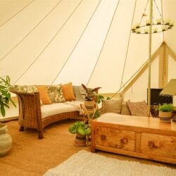 Hen Party Glamping Near The New Forest
