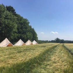 Glamping Hen Parties In Dorset – Home Farm Camping