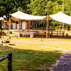 Glamping Hen Parties In Essex | Browning Bros