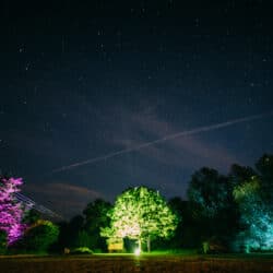 Glamping Hen Parties In Essex | Browning Bros