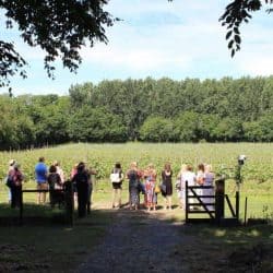 Wine Tasting Hen Parties In Sussex – Near Brighton