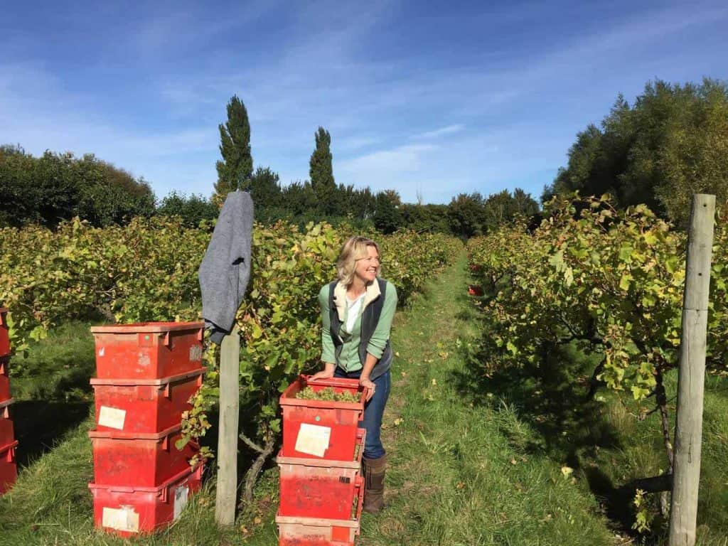 Wine Tasting Hen Parties In Suffolk