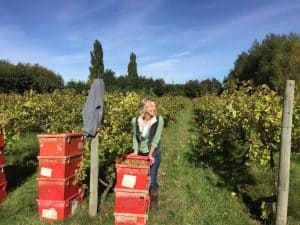 Wine Tasting Hen Parties In Suffolk