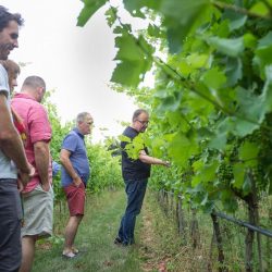 Wine & Food Hen Parties In The Cotswolds