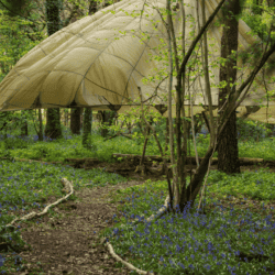 Hen Party Glamping Near Bath – Campwell Farm
