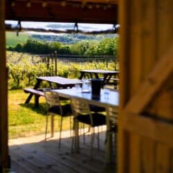 Vineyard Tours & Wine Tasting Hen Parties in Kent – Terlingham Vineyard