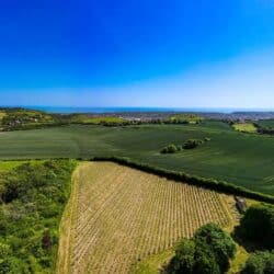 Vineyard Tours & Wine Tasting Hen Parties in Kent – Terlingham Vineyard