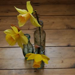 Flower Crown Hen Parties In Cardiff & Beyond
