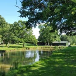 Glamping Hen Parties Near Brighton – Beneath The Canopy