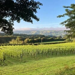 Food & Wine Hen Party Tours in Bristol – GOOD: Stories In Food