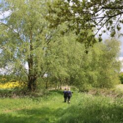 Hen Party Accommodation in Suffolk