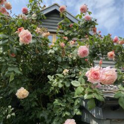 Hen Party Accommodation in Suffolk
