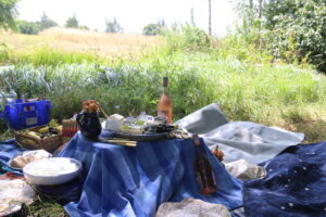 Suffolk hen do picnic