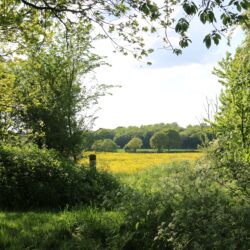 Hen Party Accommodation in Suffolk