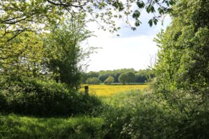 beautiful countryside in suffolk