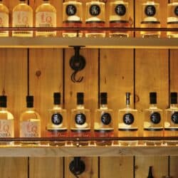 Unique Yorkshire Hen Party Idea | Wensleydale Gin Train