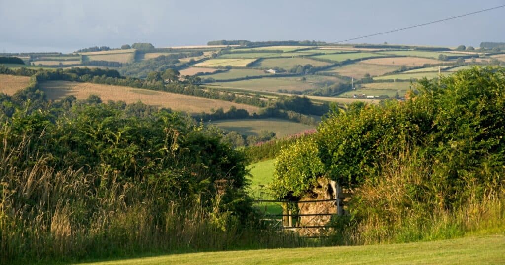 Devon Hen Party