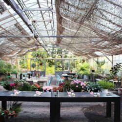 Floral Hen Party Workshops in Manchester & Devon – Kin